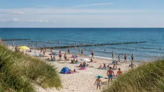Vorschaubild zu Sommerferien
